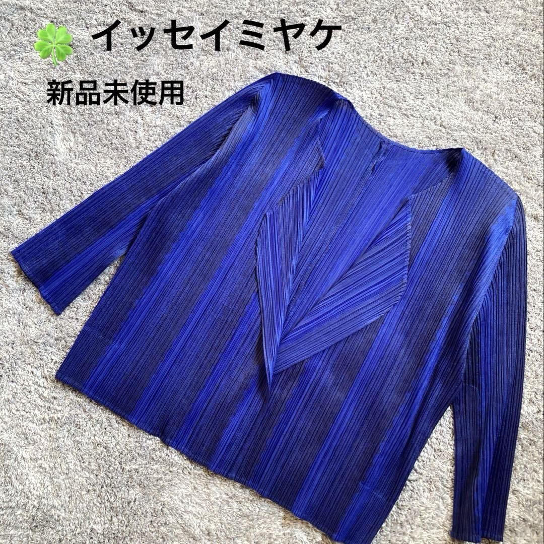 Issey Miyake Pleated Jacket, Blue, Three-Quarter Sleeves