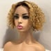 13x1 Curly T-part lace part pixie wig