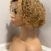 13x1 Curly T-part lace part pixie wig