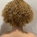 13x1 Curly T-part lace part pixie wig