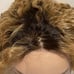 13x1 Curly T-part lace part pixie wig