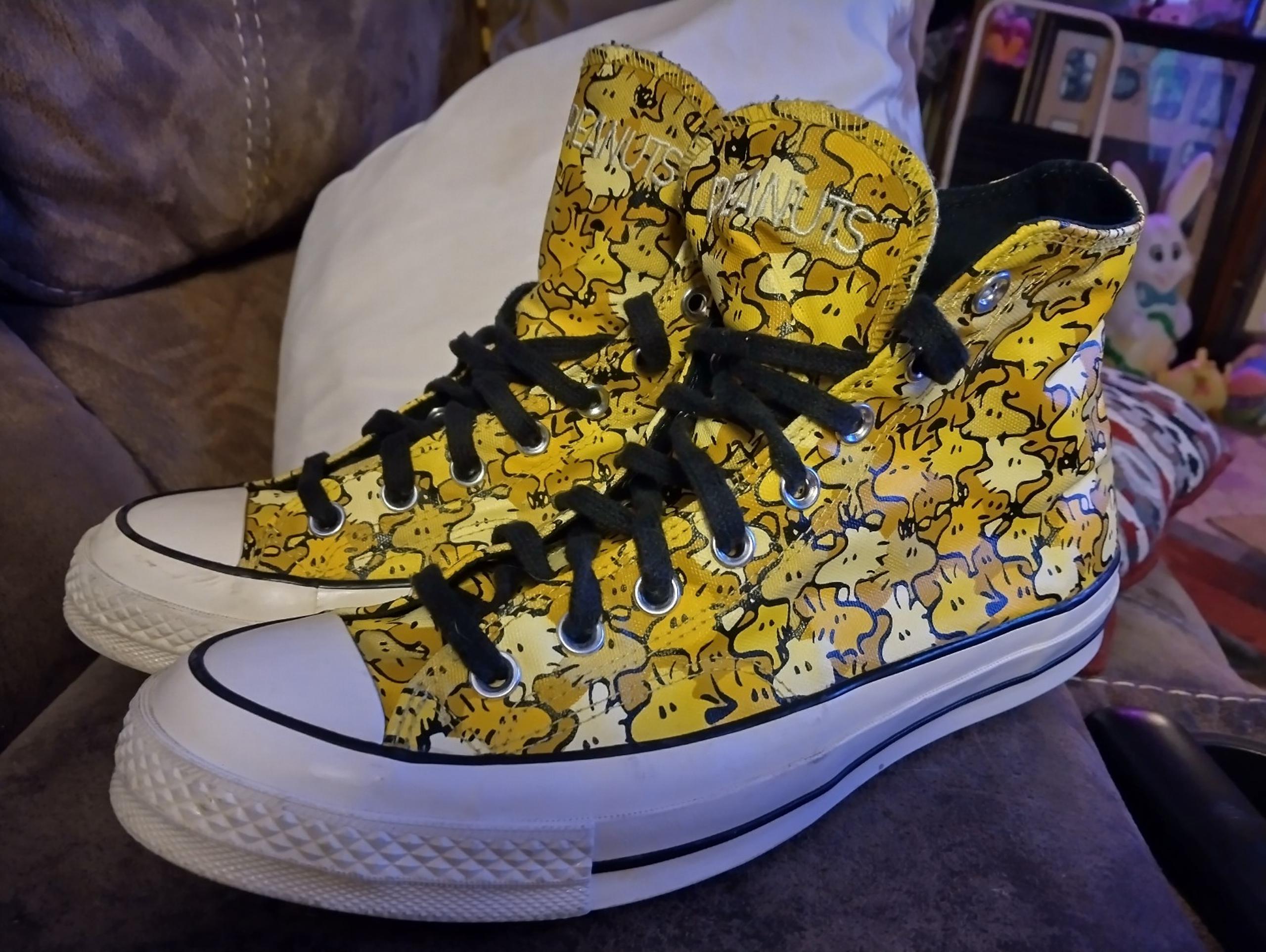 Converse Peanuts Woodstock Chuck Taylor 70 Hi top Sneaker