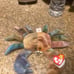 Ty Beanie Babies