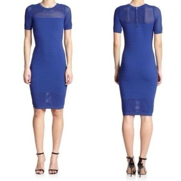 Milly Engineered Mesh Sheath Dress - sz s
