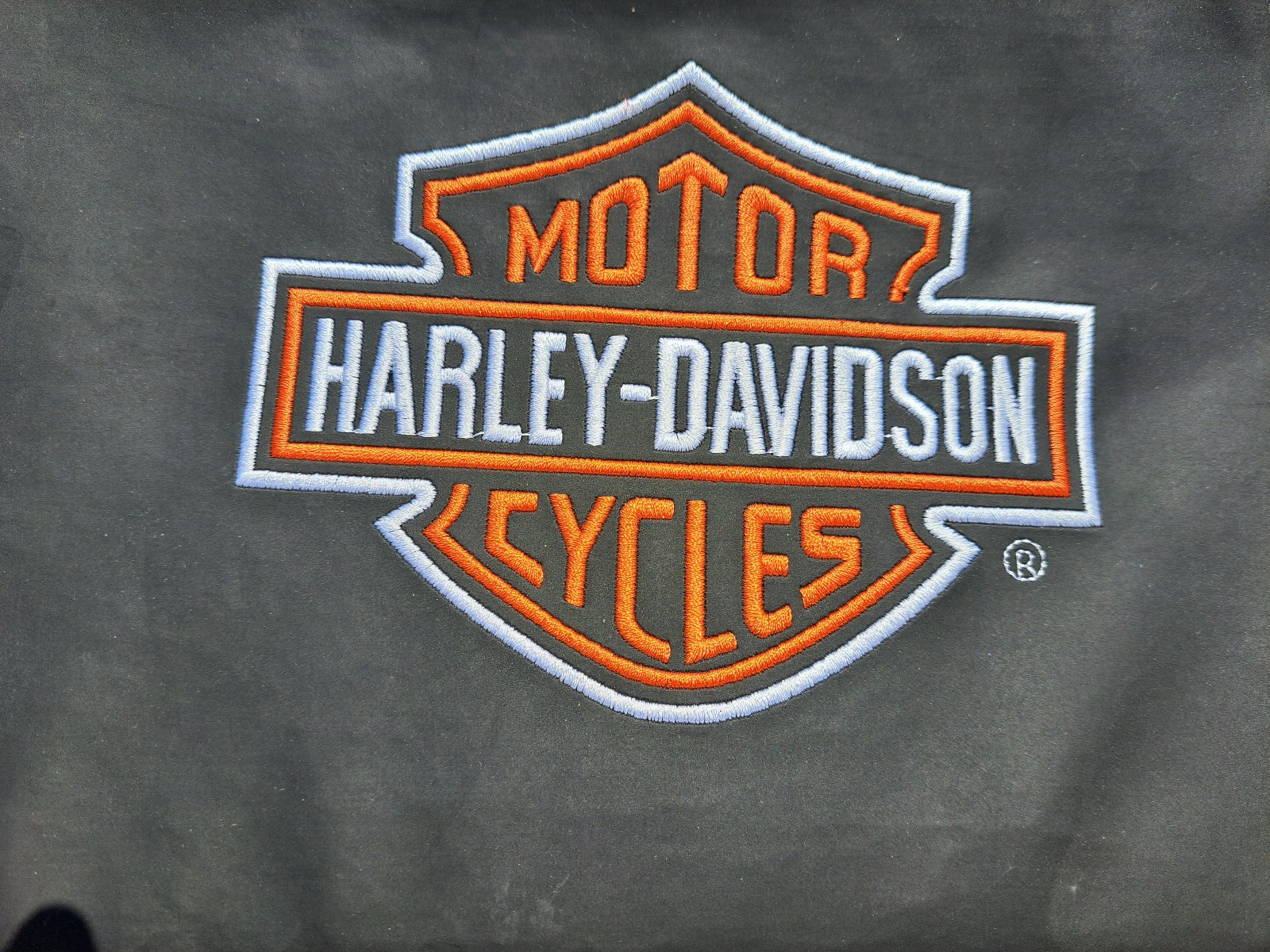 Harley Davidson cooler bag