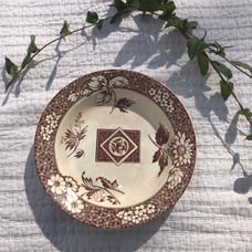 **RARE**GORGEOUS Wileman Shelley Foley Dinner Plate 9.5”England