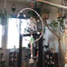 Sun Catcher