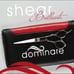 proffesional hair cutting shears