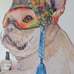 Bulldog Canvas Painting Wall Art