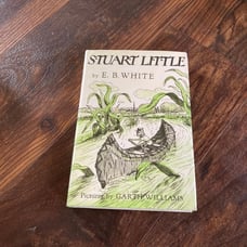 Stuart Little by E.B. White 1973 reprint perfect condition