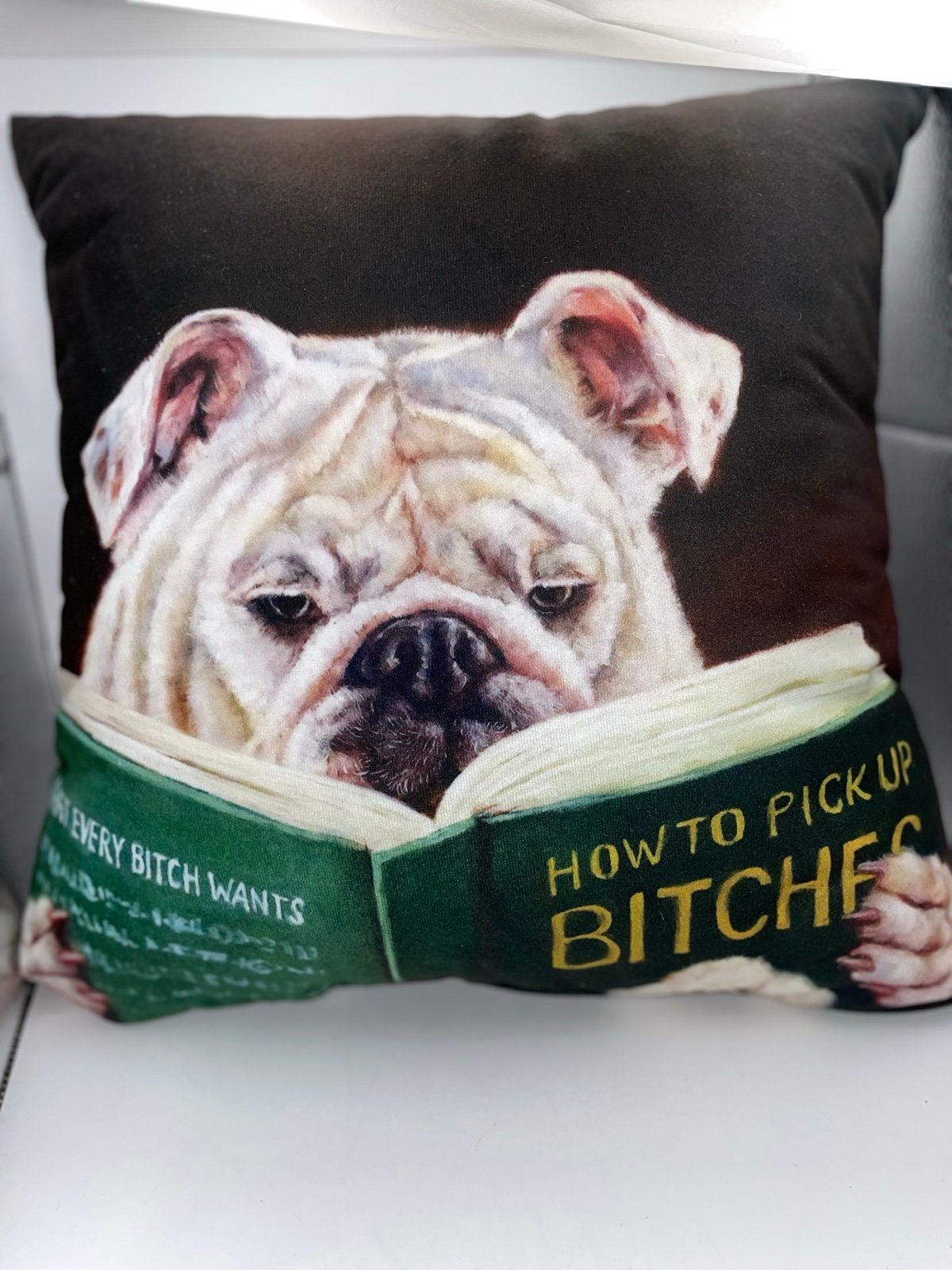 Vintage Reading Bulldog “How To Pick Up Bitches” Throw Pillow