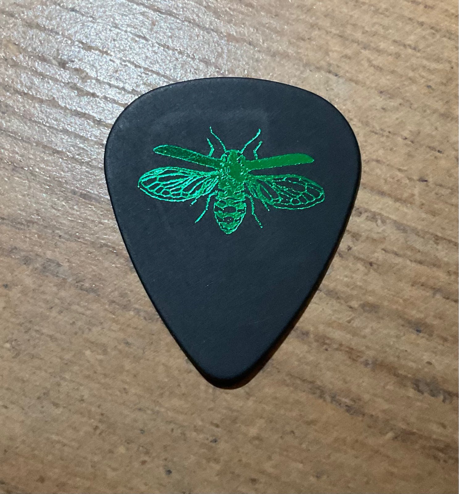 Jerry Cantrell Black Guitar Pick Brighten Tour 2022 OFFICIAL Alice In Chains