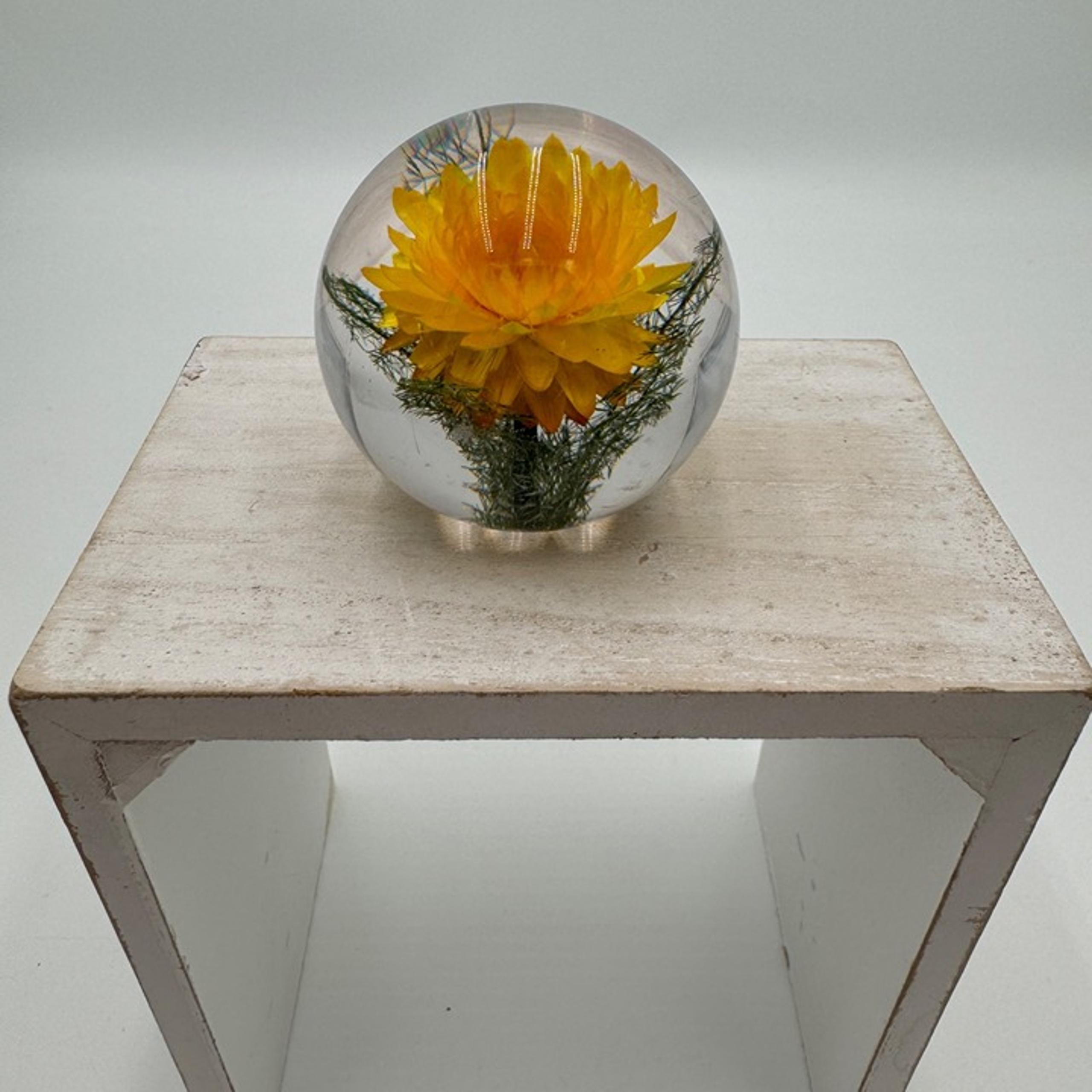 Anthropologie Resin Paperweight, Yellow Helichrysum straw flower vintage vibe