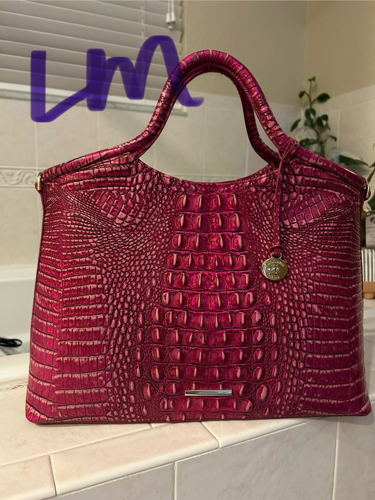 Brahmin
