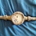 Hays Pulse Water Meter