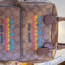 Coach Mini Bag and Wallet