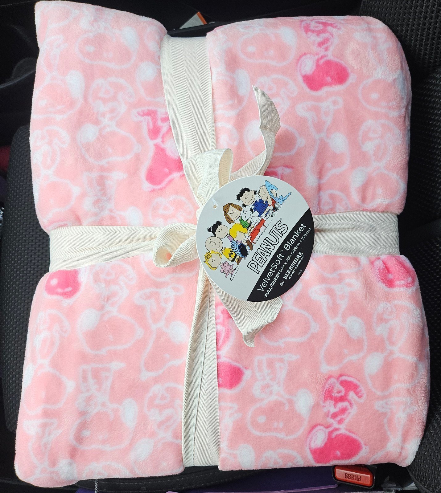 Snoopy queen size valentine's blanket
