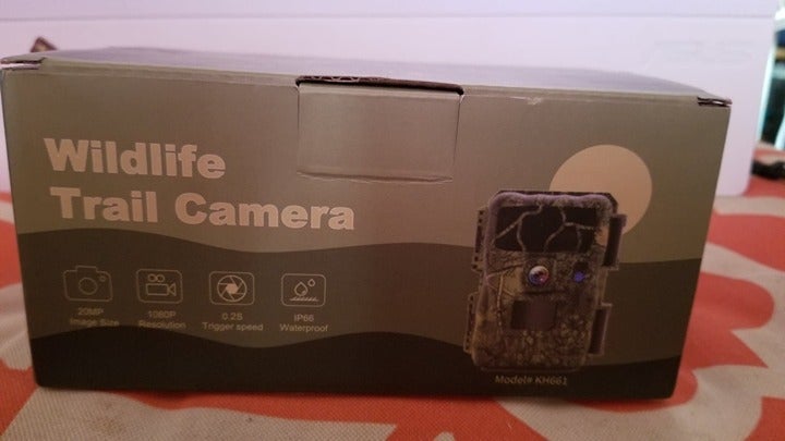 trail cameras