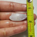 White Rainbow Moonstone Cab-WRL-20-04
