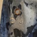 PRPS Demon Blue Men's Jeans