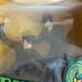 green hornet and kato
