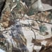 RealTree Camo Jacket Men XL Fleece Winchester Full Zip Hunting Vintage Y2K Gorp