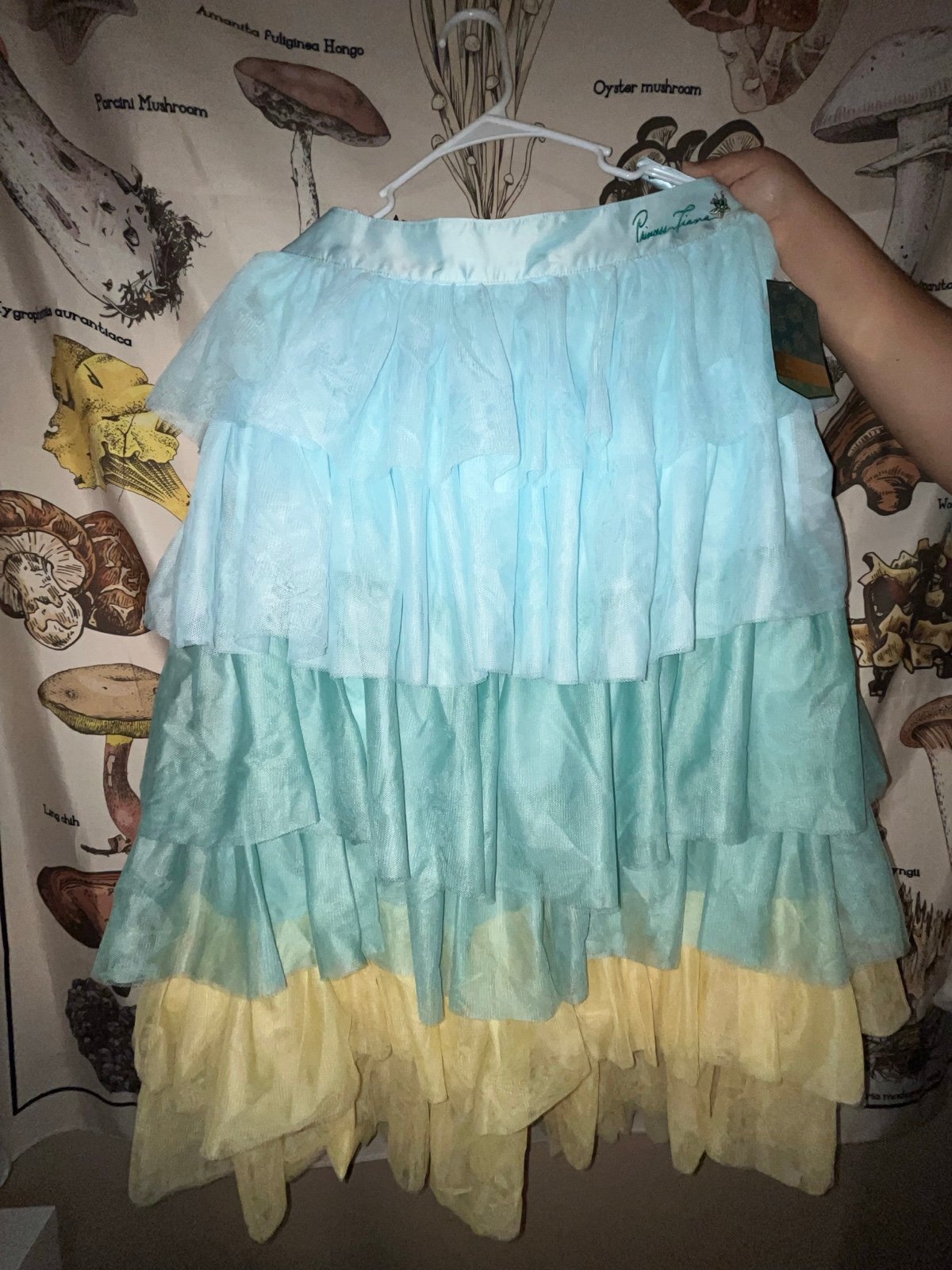 Disney Princess Tiana Collection Color Me Courtney