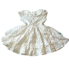 Well Dressed Wolf Stars Dress 24M