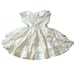 Well Dressed Wolf Stars Dress 24M