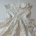 Well Dressed Wolf Stars Dress 24M