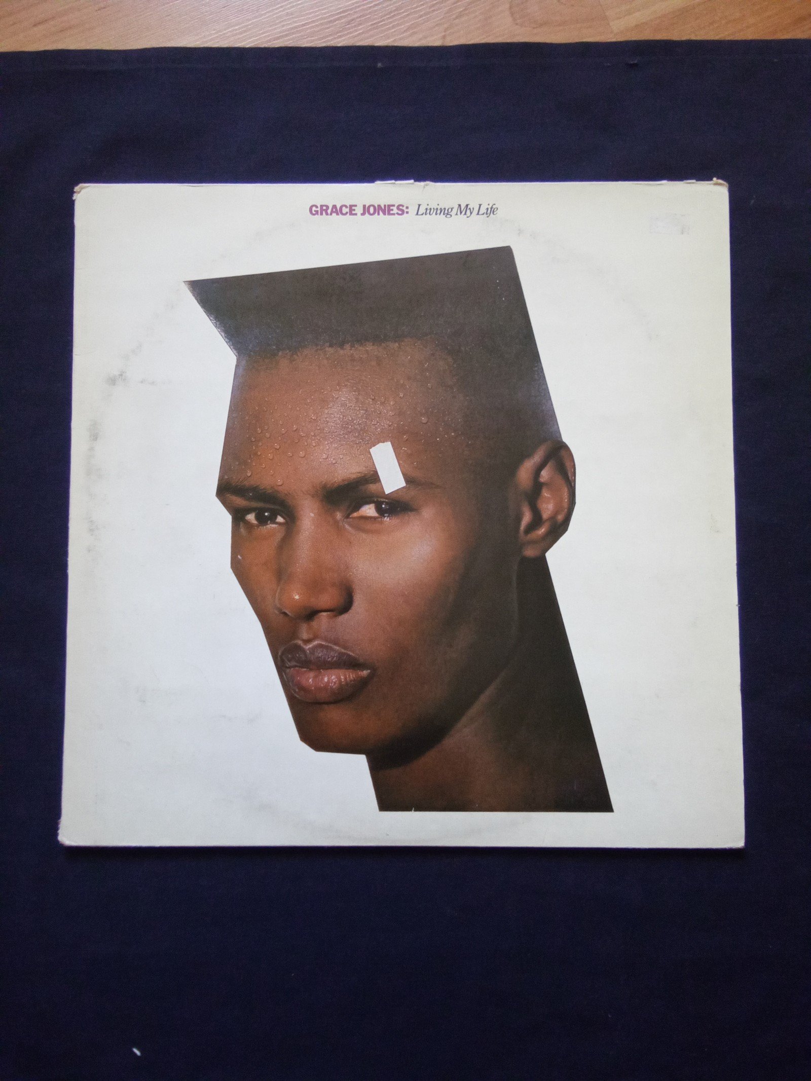 VINTAGE VINYL LP GRACE JONES 1982 LIVING MY LIFE EX CONDITION
