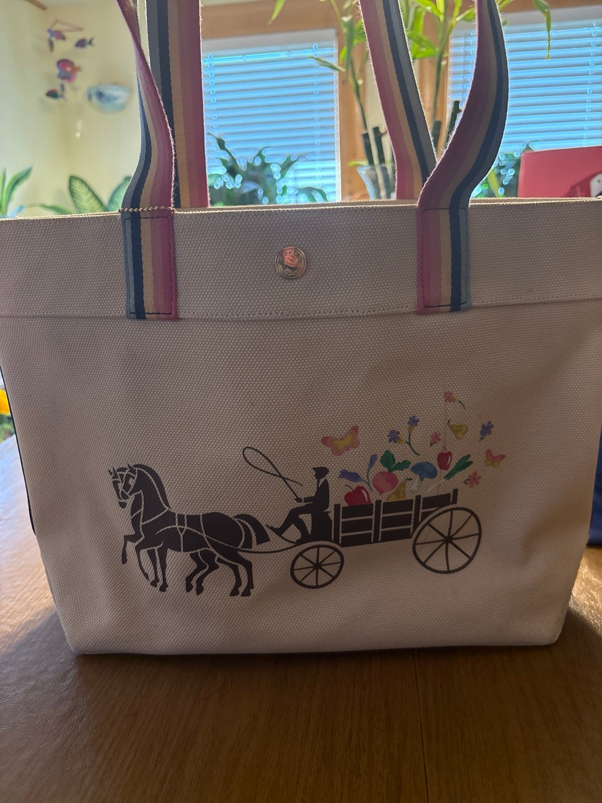 Coach Tote Bag