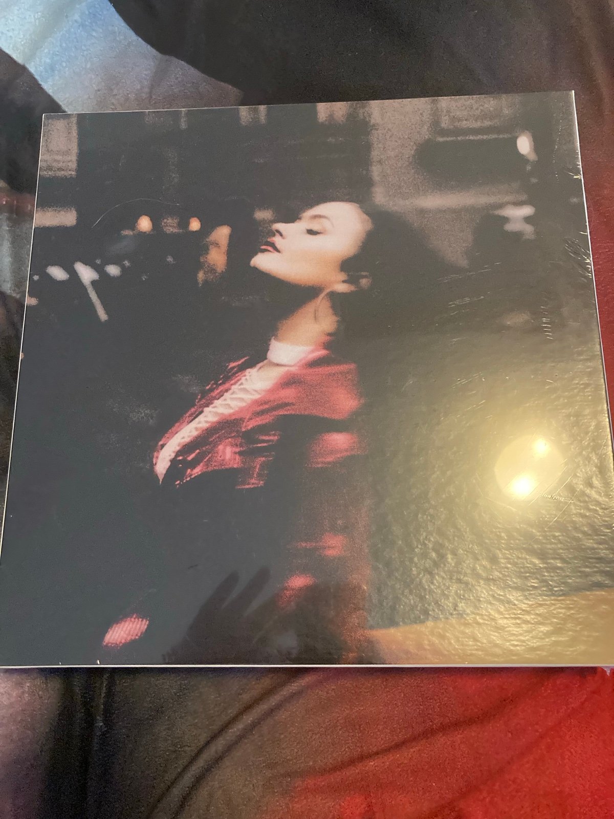 Demi Lovato puzzle