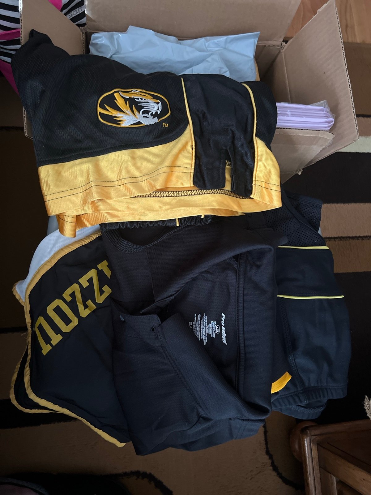 Mizzou/black and gold