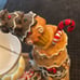 Yankee Candle Hanging wax tart warmer