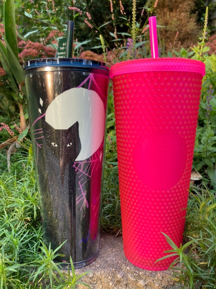 Starbucks Tumbler Two Pack!