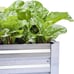 Galvanized Raised Garden Beds for Vegetables Large