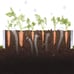 Galvanized Raised Garden Beds for Vegetables Large