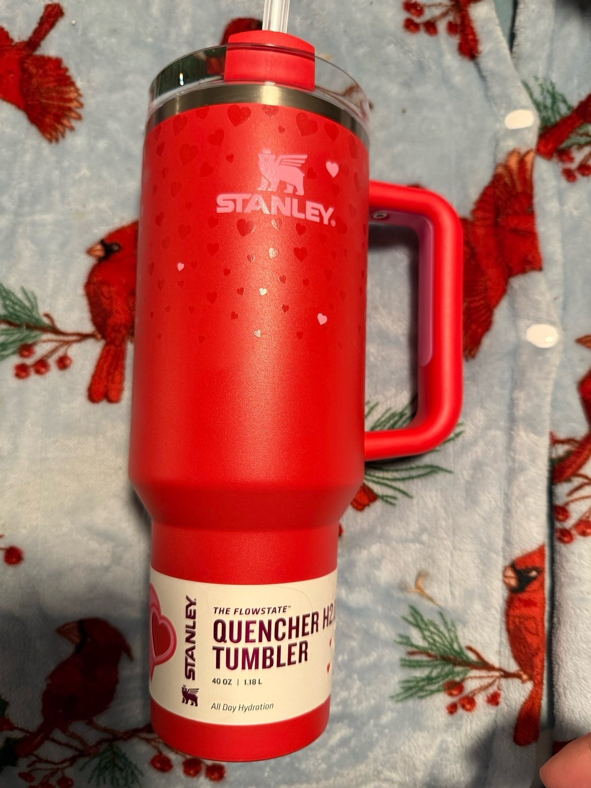 Stanley Cup Valentine’s Day 2025 Red 40 oz Flowstate Tumbler | SHIPS ASAP
