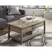 Modern Farmhouse Rectangle Lift-Top Coffee Table