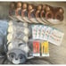 Woodland Animals Forest Party Supply Set~ Raccoons, Squirals, Foliage, Etc~ New