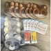 Woodland Animals Forest Party Supply Set~ Raccoons, Squirals, Foliage, Etc~ New