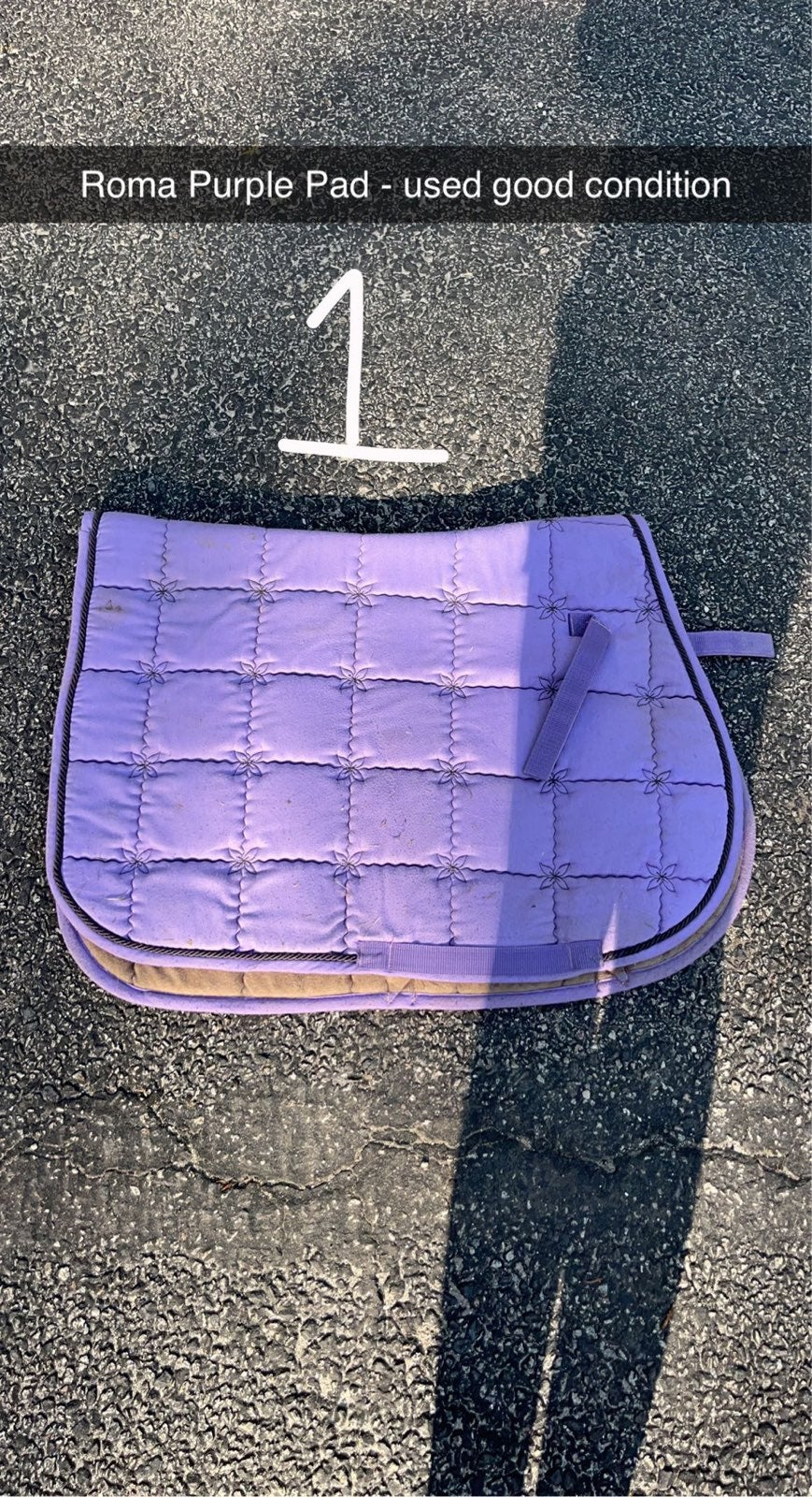 Saddle Pad Lot