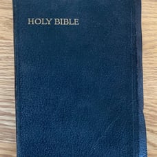 The Holy Bible Translated Out of the Original Tongues 1931 Illustrated