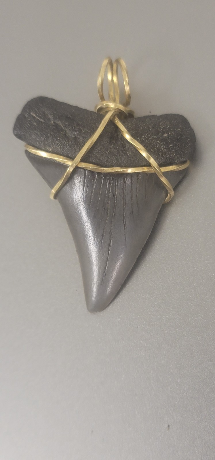 Brass wire wrapped Megaladon tooth pendant
