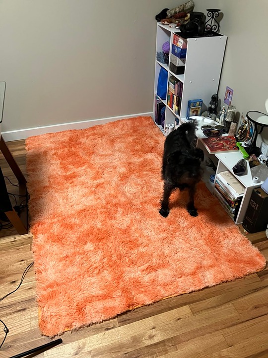 4x6 Feet Plush Fluffy Rug for Living Room, Tie-Dyed Orange Shag Rug