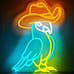 NEW Fun Bright Cowboy Bird Parrot LED Night Light Room Wall Decoration Birds