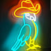 NEW Fun Bright Cowboy Bird Parrot LED Night Light Room Wall Decoration Birds