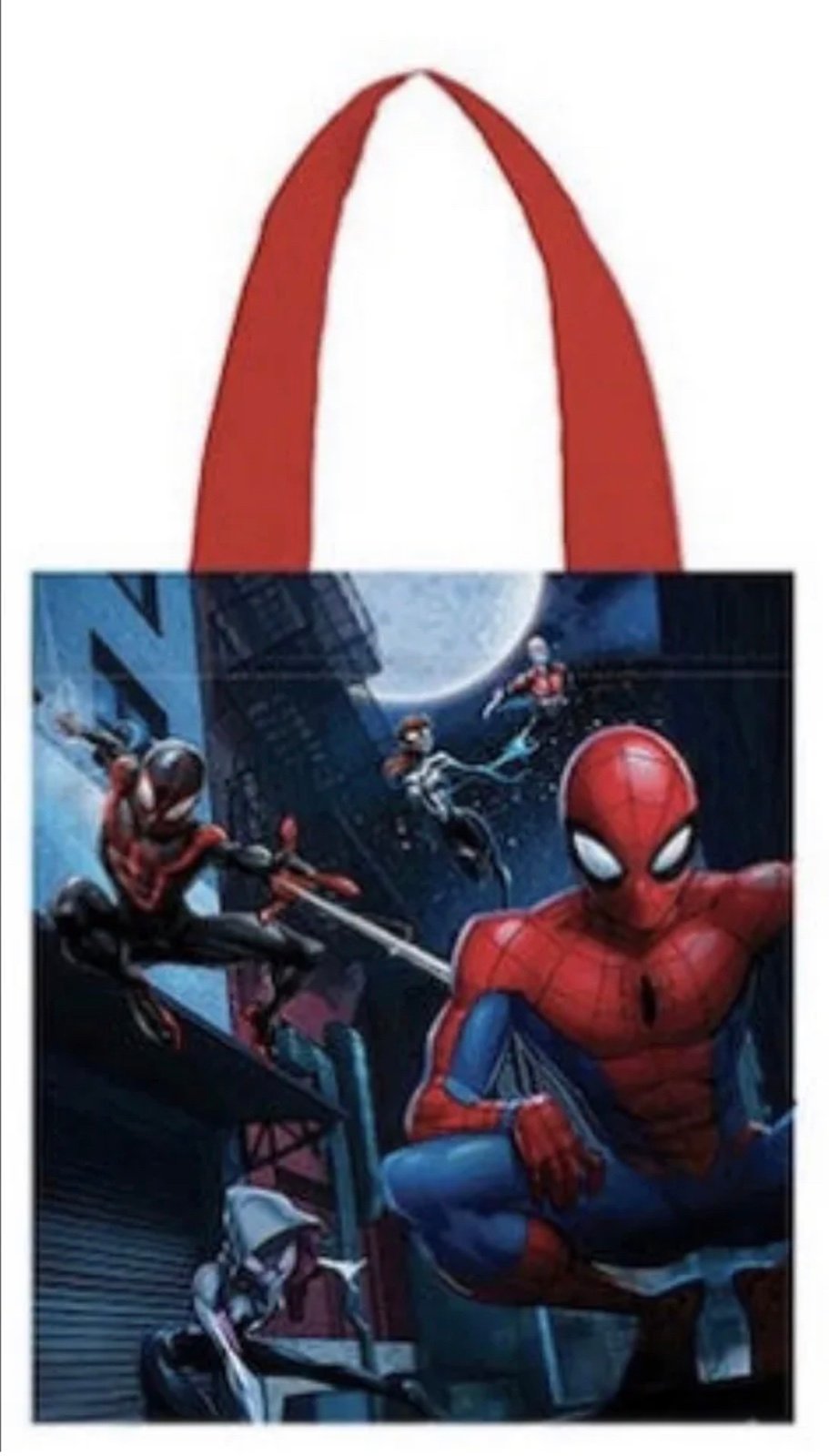Spidey and His Amazing Friends Easter Activity Basket - detail