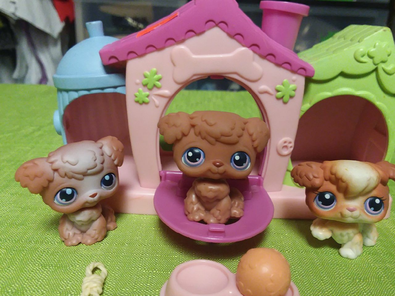 Littlest Pet Shop